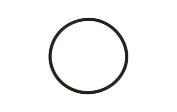 Уплотнительное кольцо 55×2.5 Q830-310006-10000